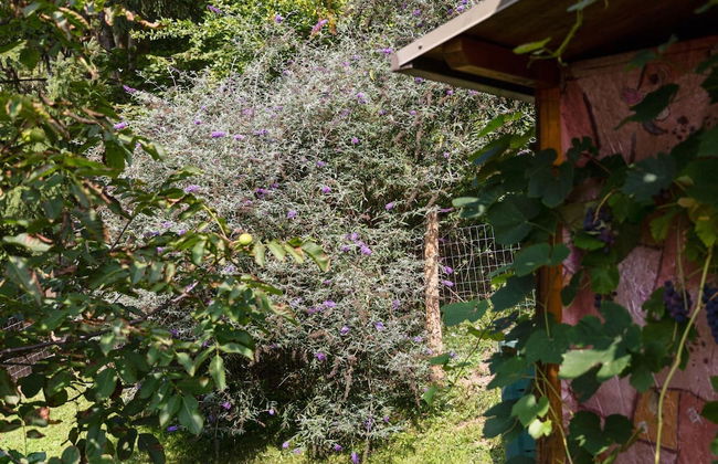 Apartment Near the Koralpe ski Area - Foto 30