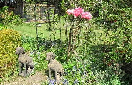 Beech View Cottage - Foto 9