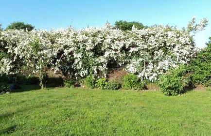 Ferienhaus Storchenweg - Foto 26