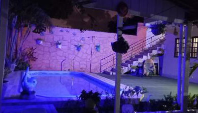 Flor de cacto - Foto 4