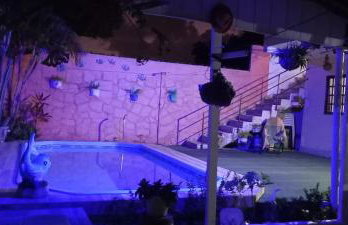 Flor de cacto - Foto 4