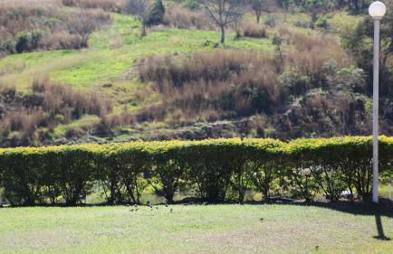 Haras Santa Amalia - Nova União MG - Foto 22