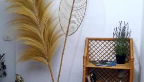 Mi Parchita - Foto 3, Lobby or reception