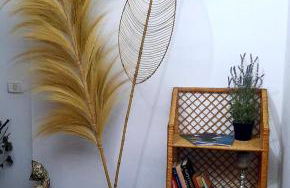 Mi Parchita - Foto 3