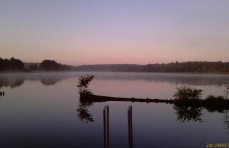 Nachtigall - Foto 30