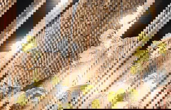 Andes Glamping - Photo 39