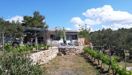 Kuća Paradise- Robinson - Foto 3, Garden