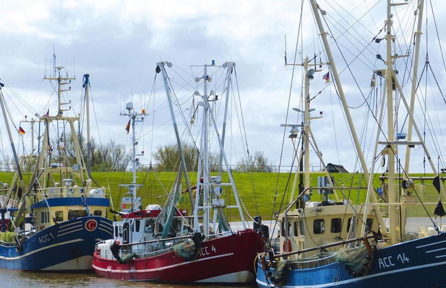 Doppelhaushalfte in Nessmersiel - Photo 15