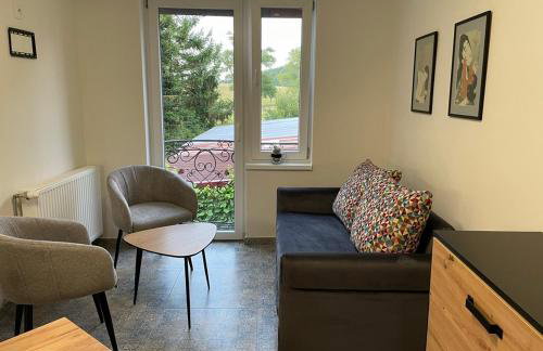 Apartament pod Brzozami - Foto 5