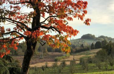 Cascina San Giorgio - Photo 16