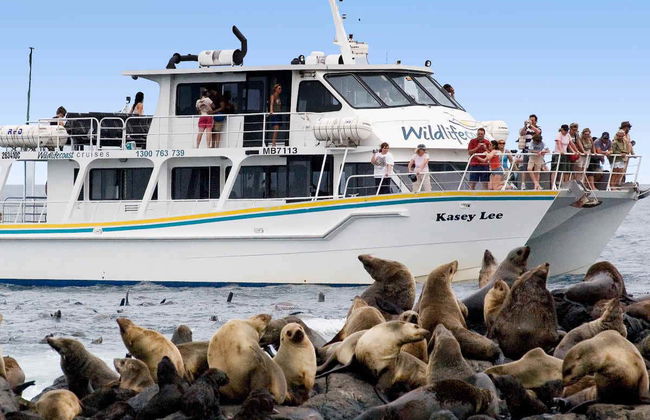 Observation d'otaries - Photo 9