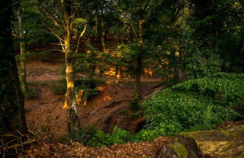 Enchanting Lodge, Cosy Hidden Gem with Woodburner - Foto 32