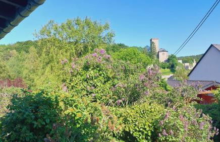 Adenauer Zwölf - Das 5 Sterne Ferienhaus mit Sauna und Garten am Eifelsteig - Foto 6