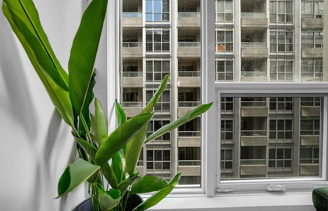 The Noho Signature Collection - Foto 39