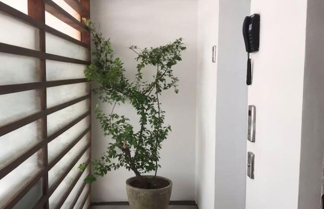 Crown Properties - Foto 22