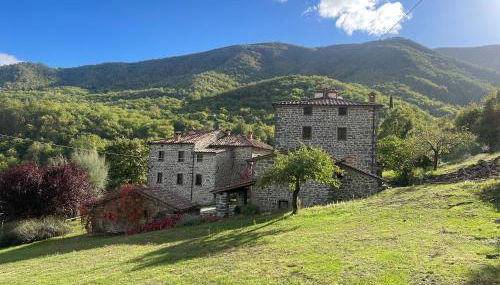 Bio Agriturismo il Vigno - Foto 4