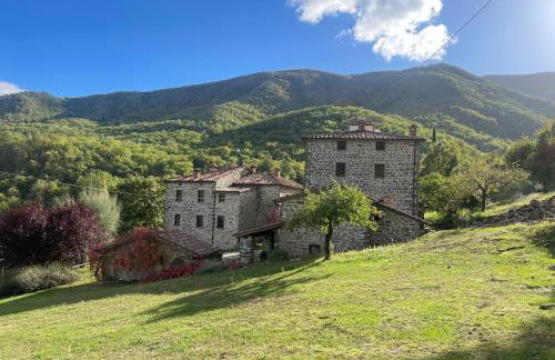 Bio Agriturismo il Vigno - Foto 3