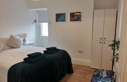 Lovely Seafront 2 bed flat in Aberystwyth - Foto 9