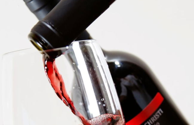 Diana Inn Accomodations - Foto 29