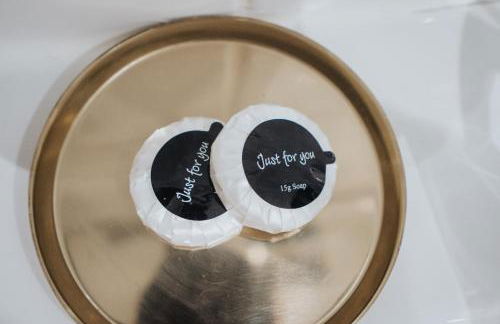 VICHY - Temple Court Superb apartment in City Center - Foto 33