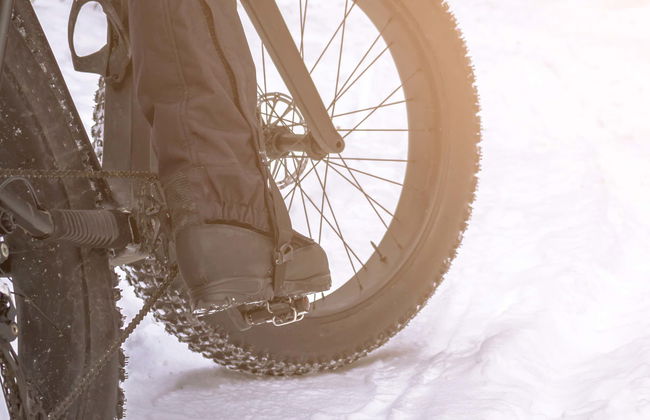 Alquiler de fat bike en Kuusa - Foto 6