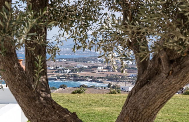 On The Rocks Antiparos - Foto 26