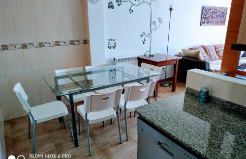 Apartamentos la Pasarela - Foto 43