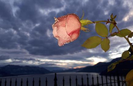Sole & Lago-Lake - Foto 78