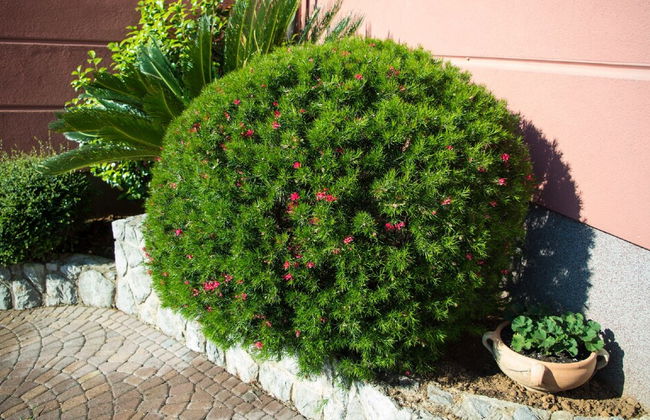 Luxury Three-bedroom Apartment With Amazing Overlook at the sea - Foto 51