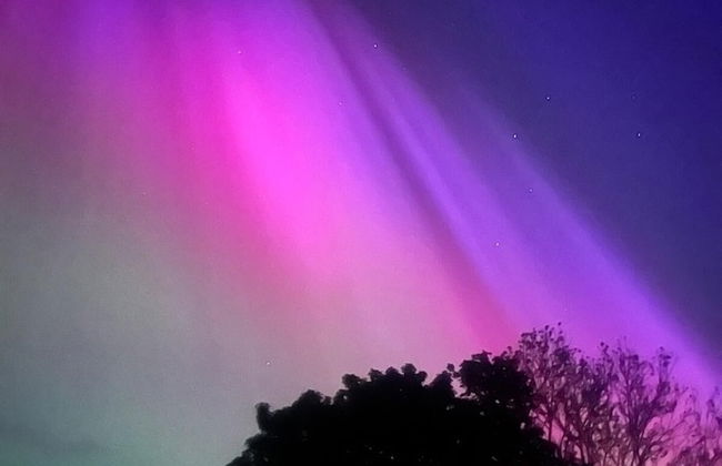 Farm Stay Property Pets and Families Welcome - Foto 25