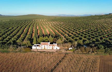 XPCE Casería San José - Photo 16