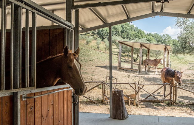 Agriturismo Goccia di Luna - Foto 63