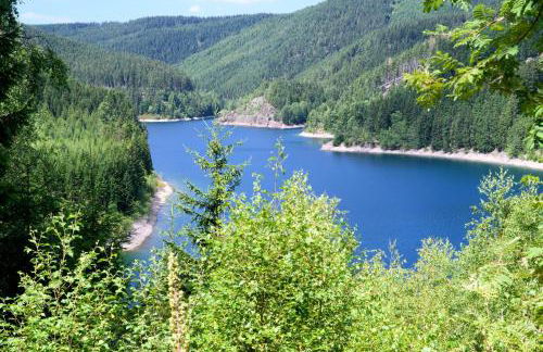 Ferienwohnung Tannenblick 2-2 3-4 - Photo 9