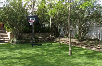 La Jacaranda - Foto 32