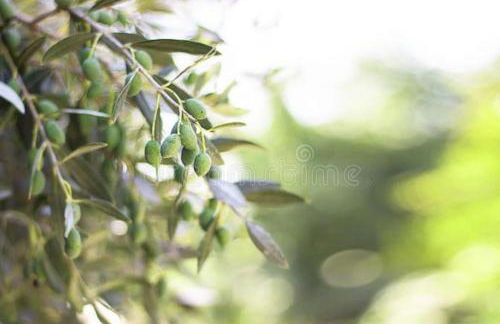 Superbe maison de village et sa terrasse panoramique - Foto 43