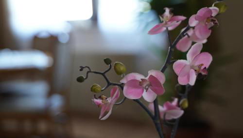 Ferienwohnung "Osserblick" Klier - Foto 3