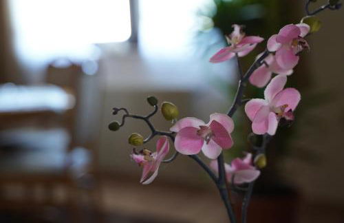 Ferienwohnung "Osserblick" Klier - Photo 3