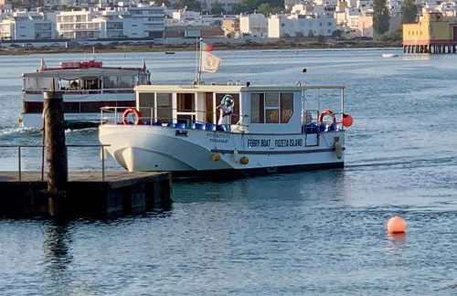 CASA DO PROFESSOR - Foto 28