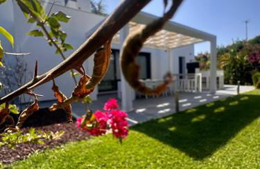 Villa Essencia - Foto 1