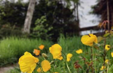 große Wohnung mit Dachterrasse - Foto 3
