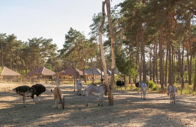 Safari Resort Beekse Bergen - Foto 49