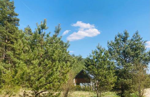 Palma de Masuria Ekskluzywny Dom na wyłączność - Foto 8