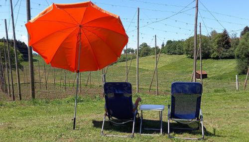 Ferienhof Metzler - Foto 5