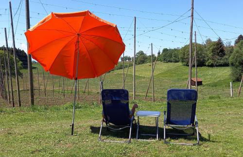 Ferienhof Metzler - Foto 5