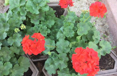 Panorama Residence Schlossblick - Photo 17