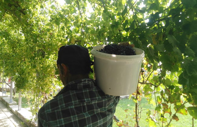 Agriturismo Il Megalite - Foto 38