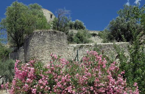 Résidence services seniors DOMITYS LES EAUX VIVES - Foto 20