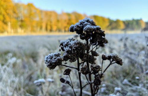 Uhlpartment - im Herzen von Uelzen - Foto 43