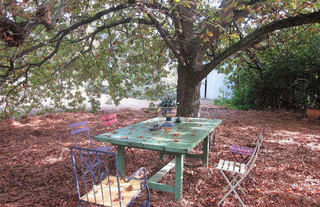 Le Petit Palais Villas - Photo 20