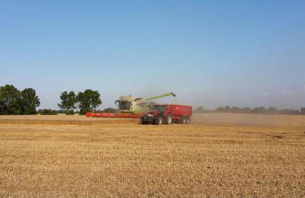 Ferienhof BauerMüller - Foto 24